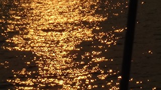 DSC00854 (2)