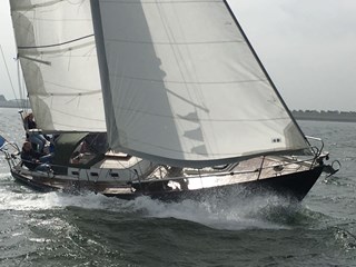 Dommelaer-2 kopie