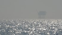 DSC00803 (2)
