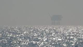 DSC00803 (2)