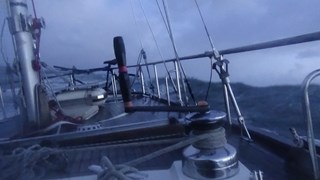 DSC01075 (2)