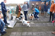 giesbeek 2