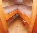 Dart 5