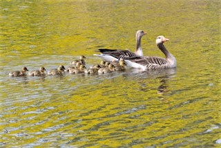 mini_IMG_2283