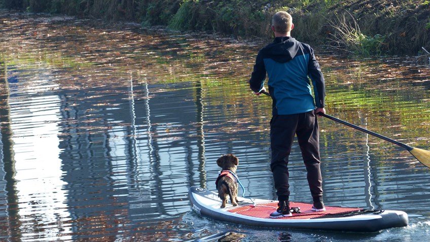 SUP teckeltje zwemvest