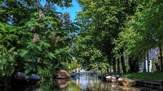 20180514-IMG_3215