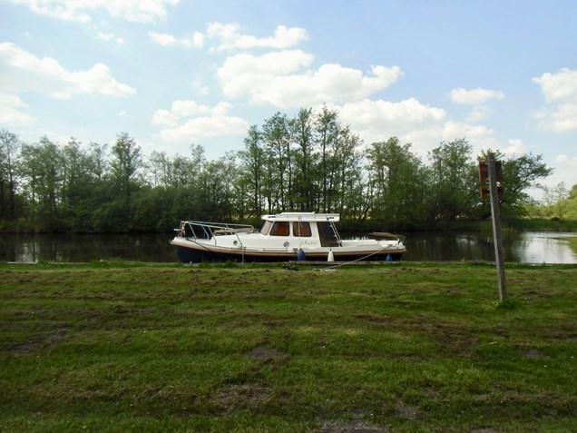 DSCI6683