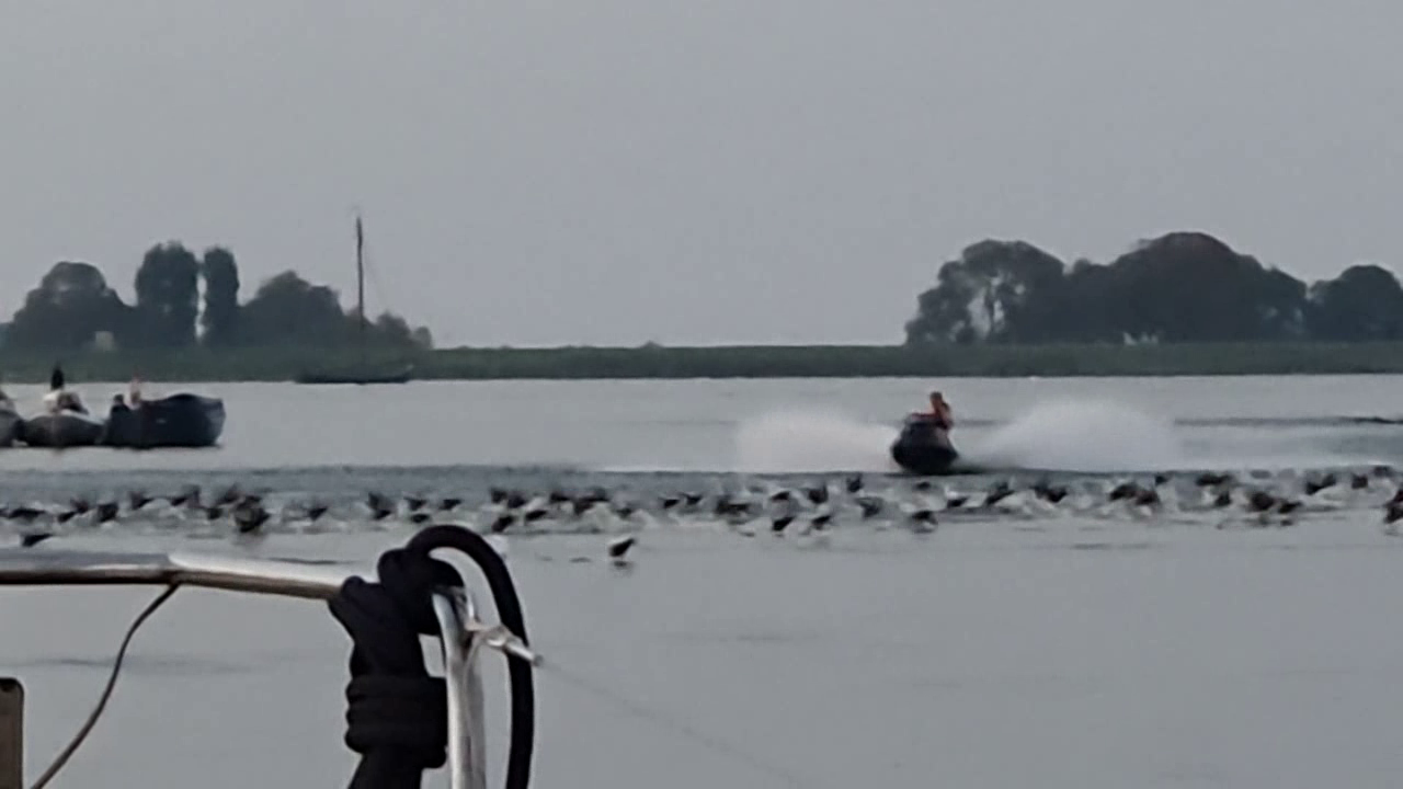 WATERSPORTER OF WATERRAT?