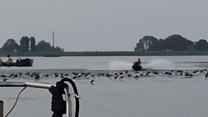 vogels pletten