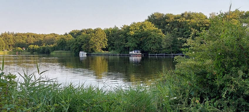 Afbeelding 225