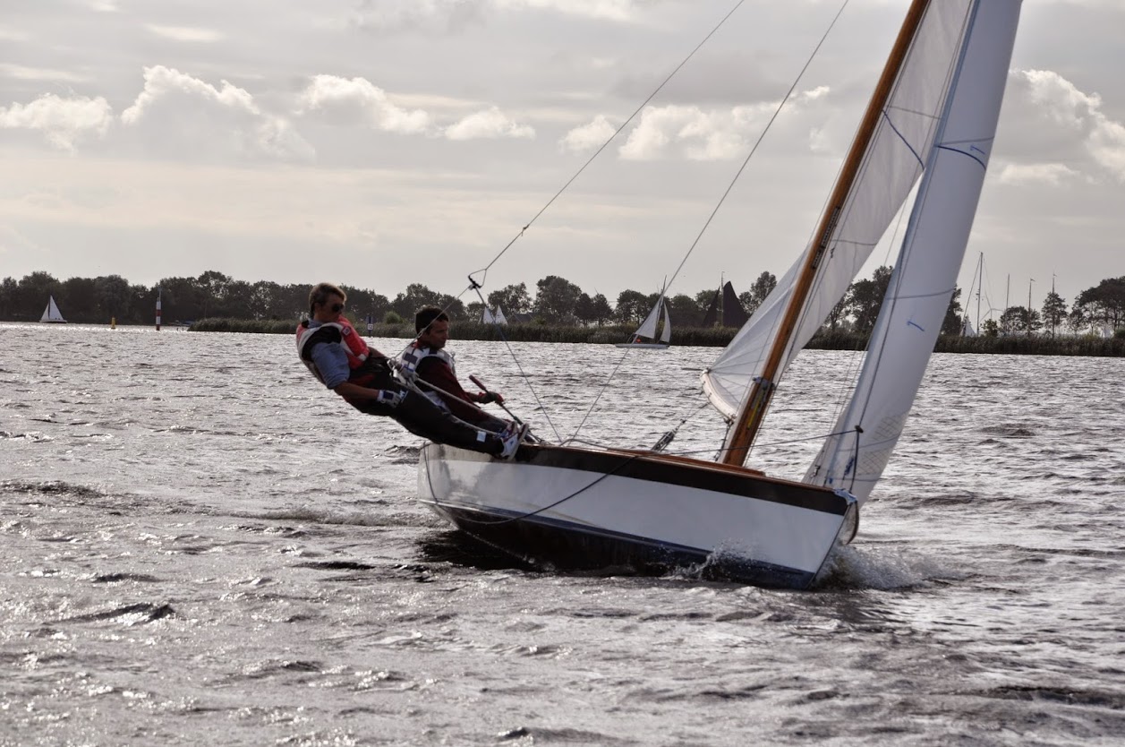 Valk zoekt wedstrijdzeiler ( Verkocht)