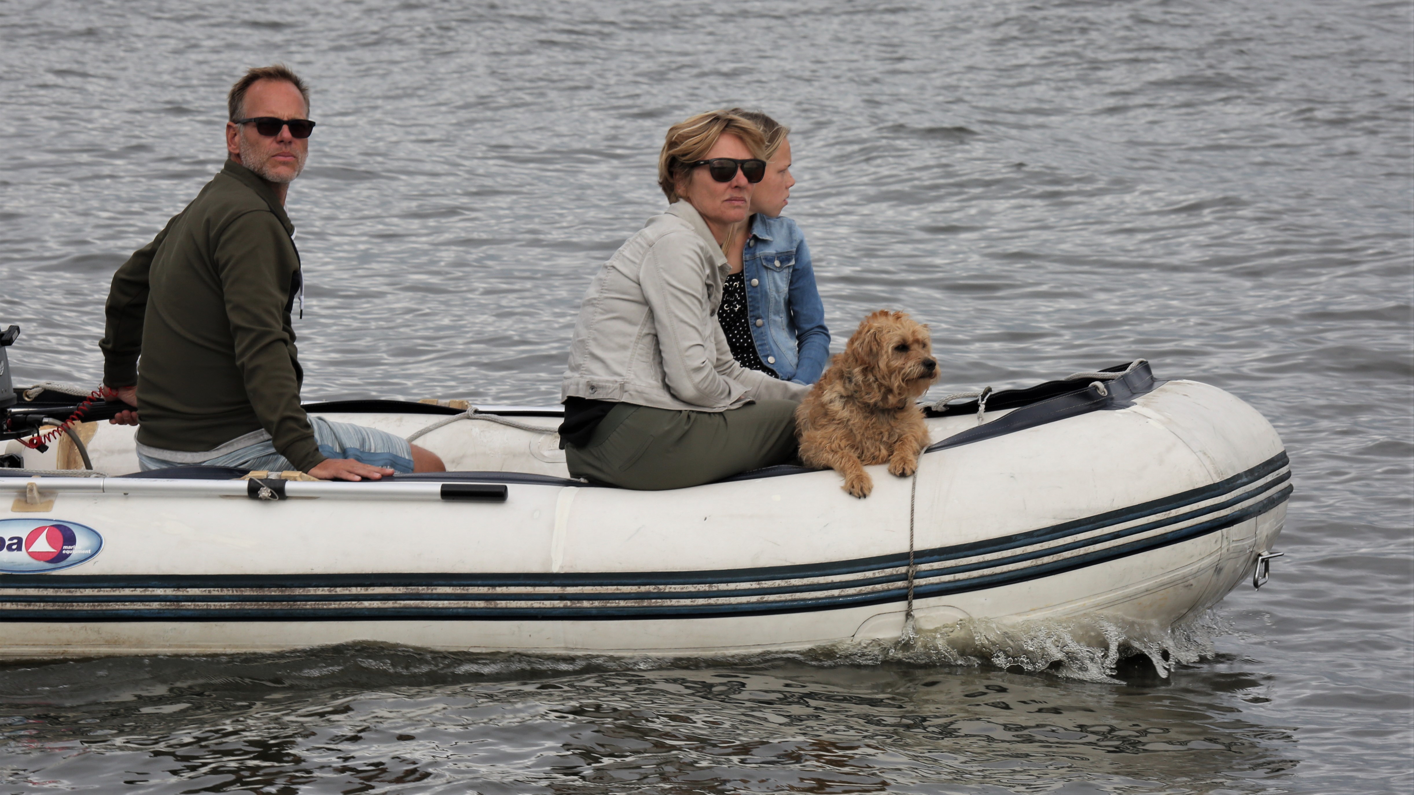 Huisdieren aan boord