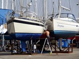 Afbeelding 183