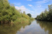 IMG_8095