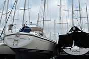 IMG_6443