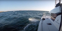 Sea Heroes 2