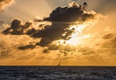 m124165_13_08_180423_AZN_BCR_0034-1