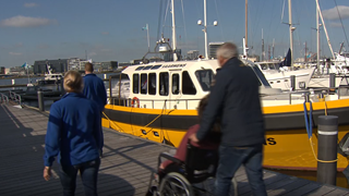 Vaarwens (127)