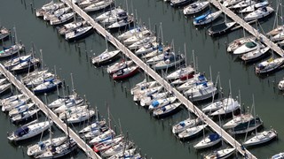 IMG_8359 Andijk (2)