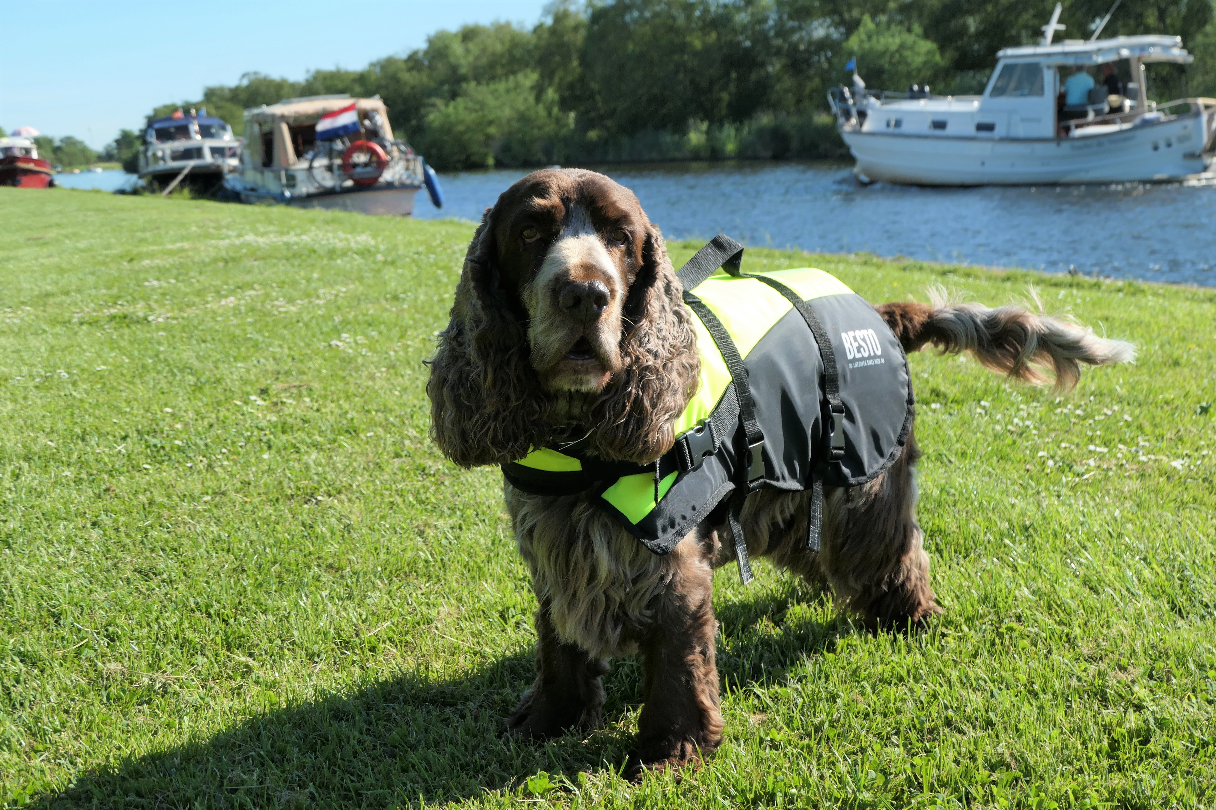 Alles over reddingsvesten voor kinderen en honden