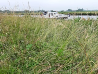 72404D45-FC5F-461A-BEA7-D79196E03553