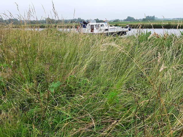 72404D45-FC5F-461A-BEA7-D79196E03553