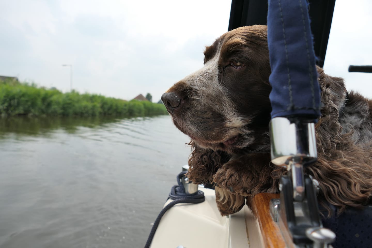 Vaarwel lieve Patout