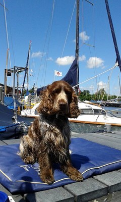 63434_10153131234538031_3181757493092031576_n