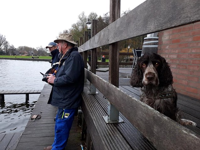 47217957_10156129288708031_6938202985864364032_n