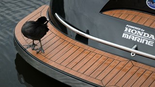 thumbnail_IMG-20190929-WA0000