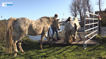 PROMO Op de haven aflevering 4