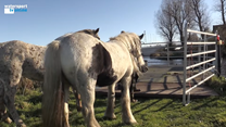 Schermafbeelding 2022-02-03 om 14.50.00