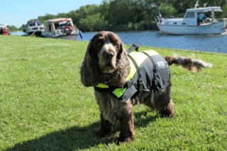 9EC43A44-A6A7-4BB1-89FF-E7AD3BFCC996