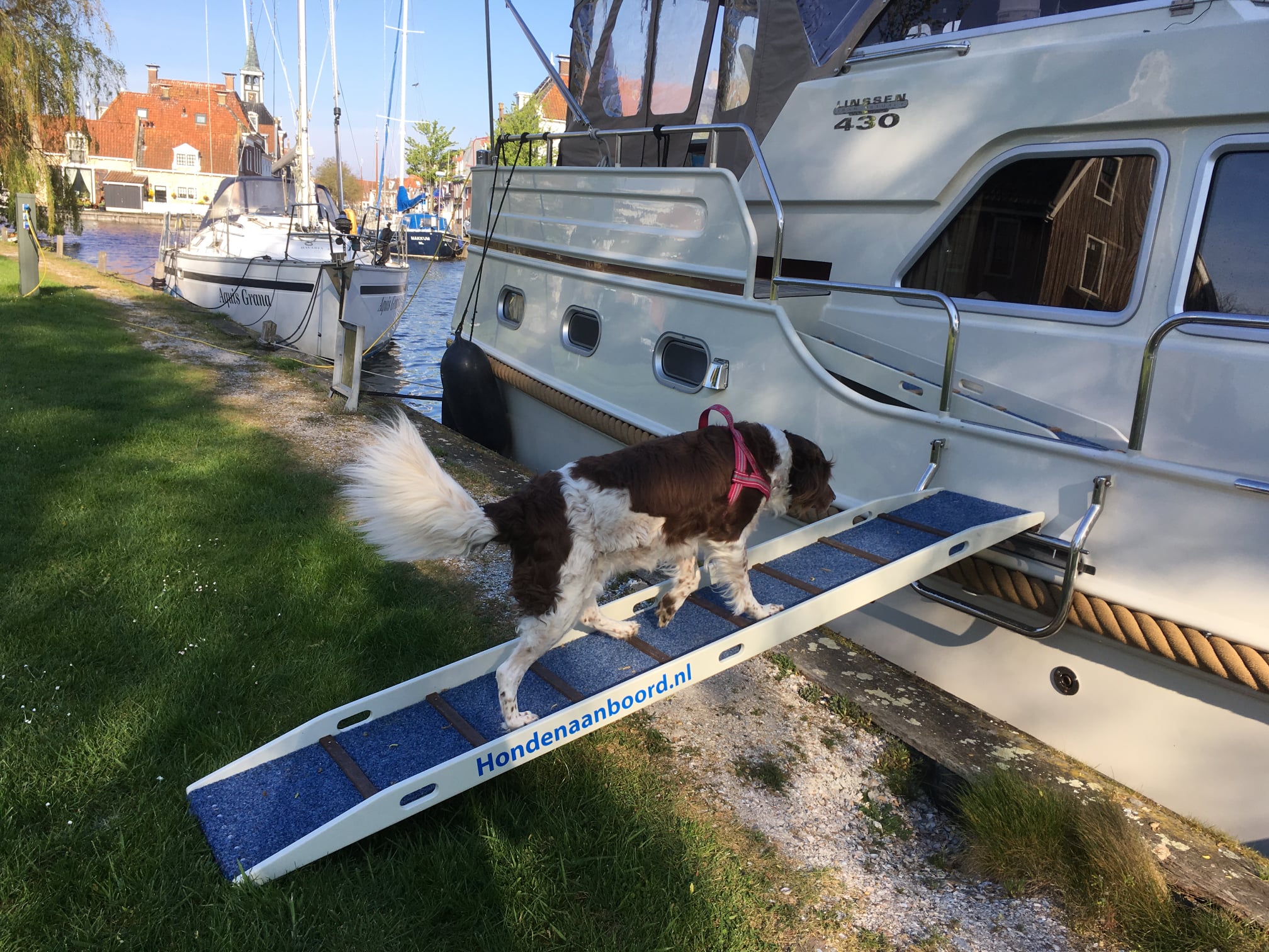 Honden aan boord...nieuwe serie op Watersport-TV