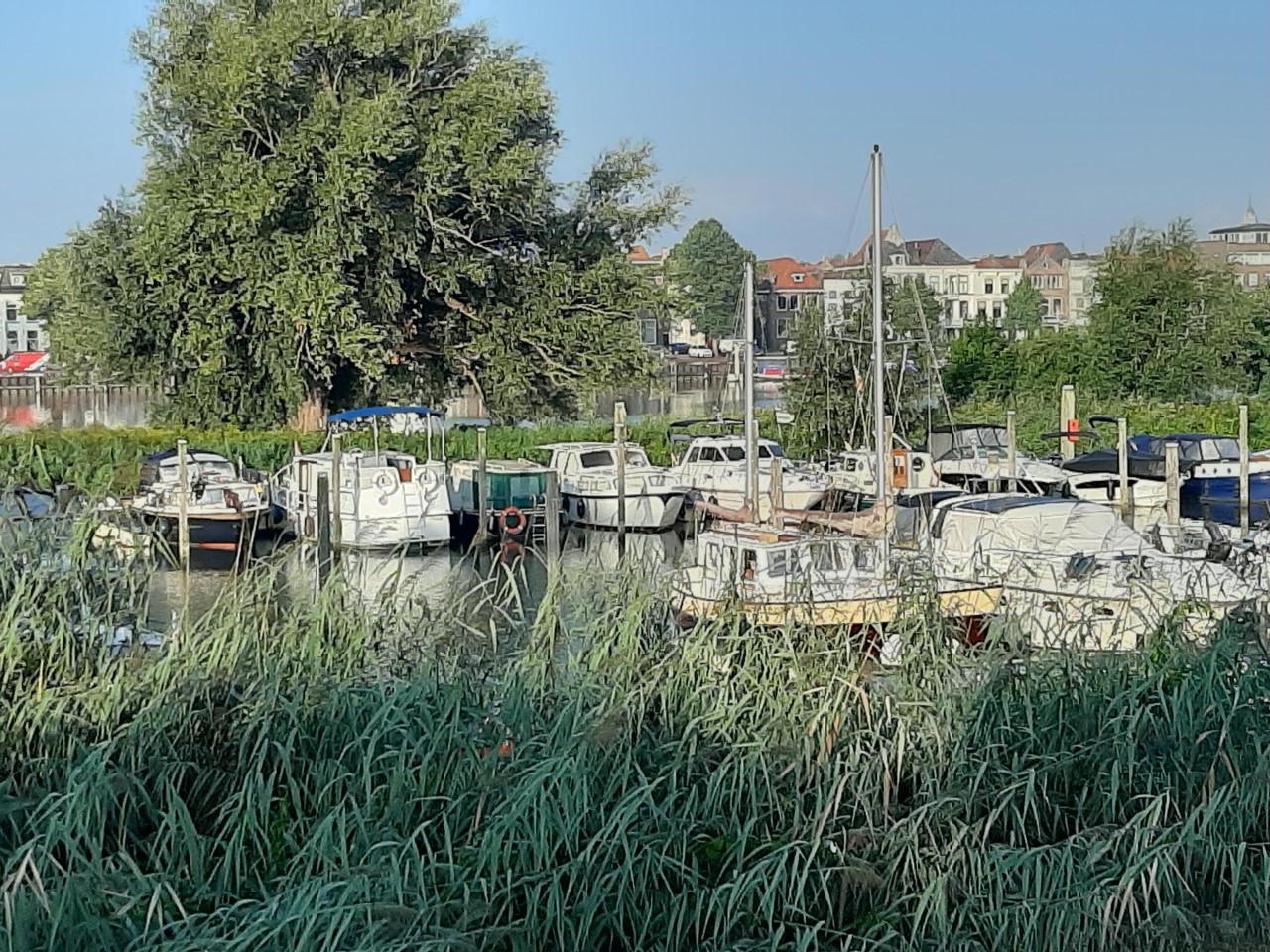 Stank rotte eieren aan boord is levensbedreigend!