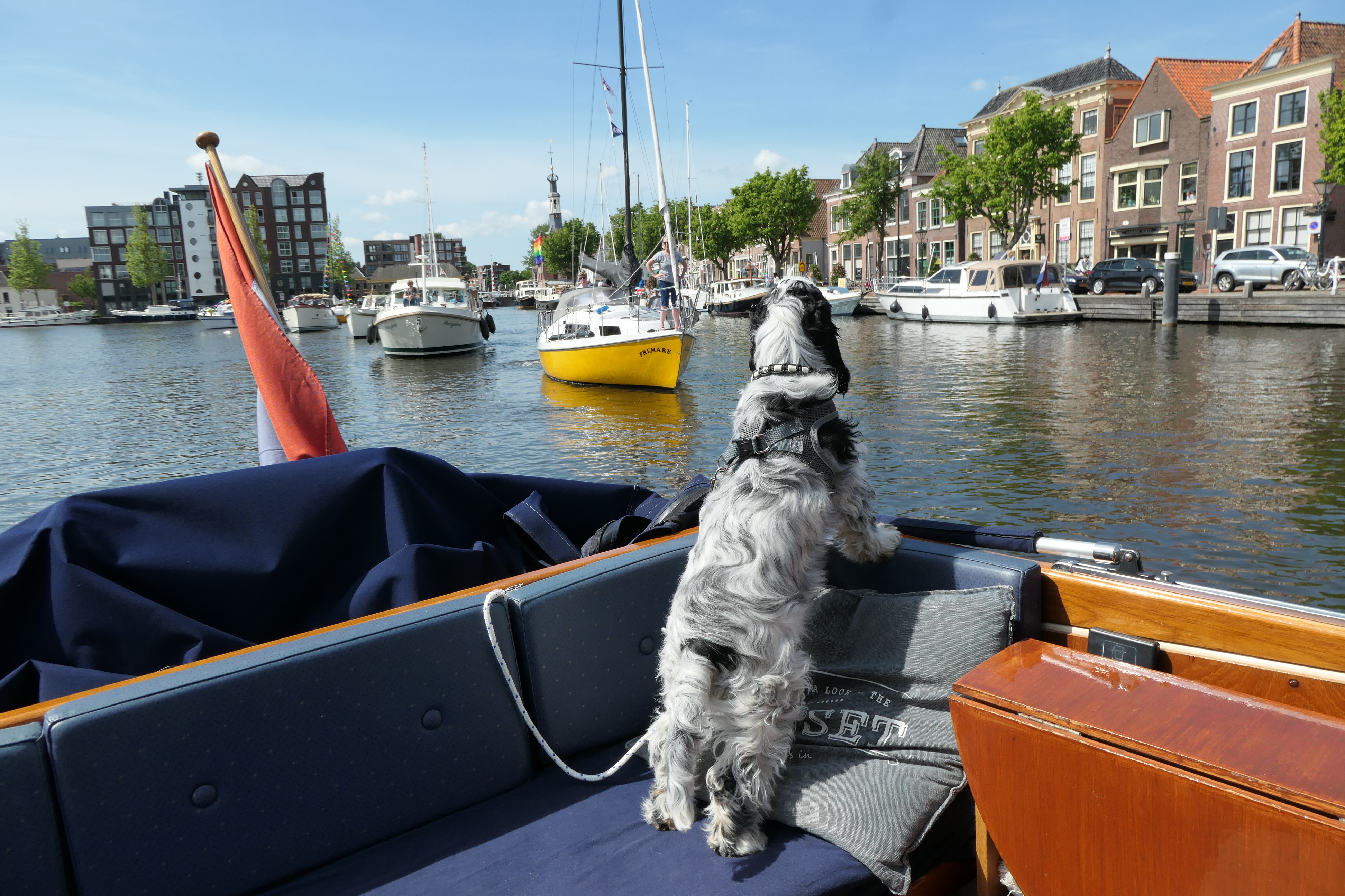 Varen doe je Samen! on Tour