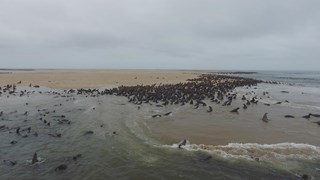 IMG_0571