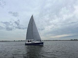 C7CE1333-2D47-4E2E-95DA-BCDBFC75DA49
