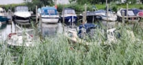 Afbeelding 141