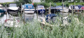 Afbeelding 141