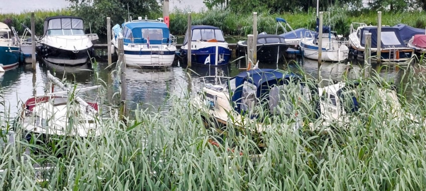 Afbeelding 141
