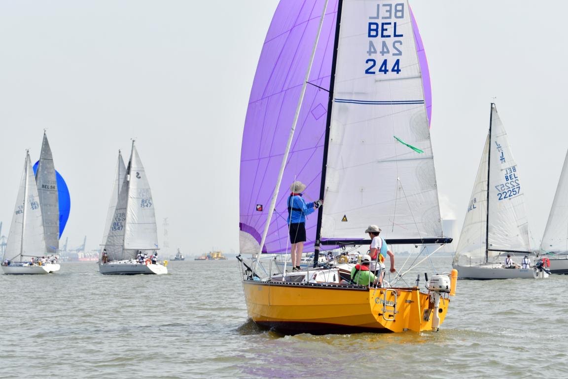 Twintigste Schelderegatta met 45 jachten