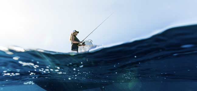 Mercury Service Excellence