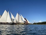 thumbnail_image003