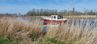 thumbnail_20230405_111439