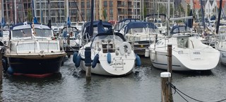 Afbeelding 242
