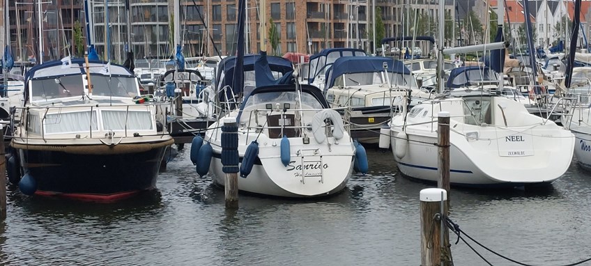 Afbeelding 242