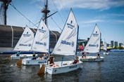 Afbeelding 293