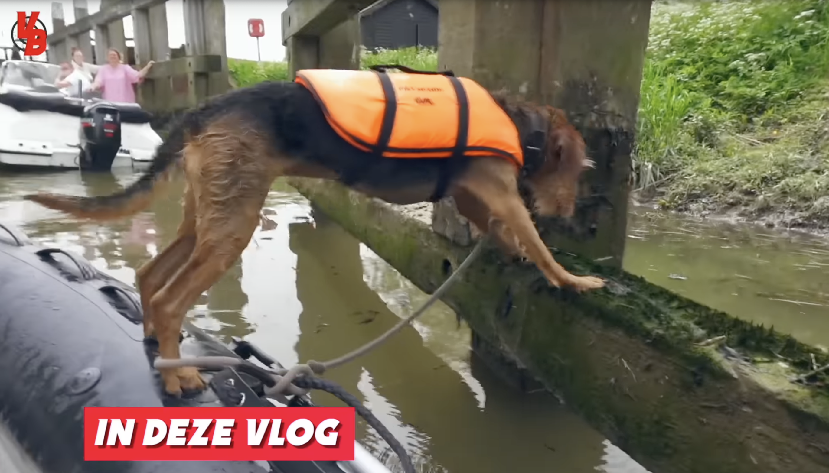 Hond Trixie over boord in de Vloggende bestemming