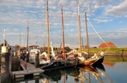 Afbeelding 446